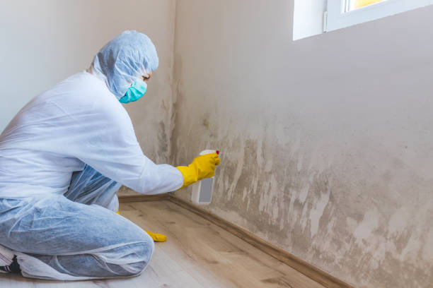 Licensed Bathroom Mold Removal service in Urbanna, VA - WQB Mold Removal