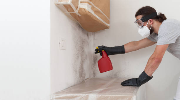 Professional Bathroom Mold Removal technician working in Urbanna, VA