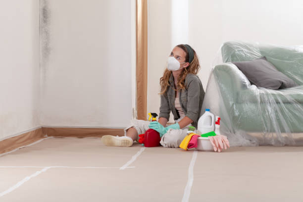 Reliable Bathroom Mold Removal contractor in Urbanna, VA by WQB Mold Removal